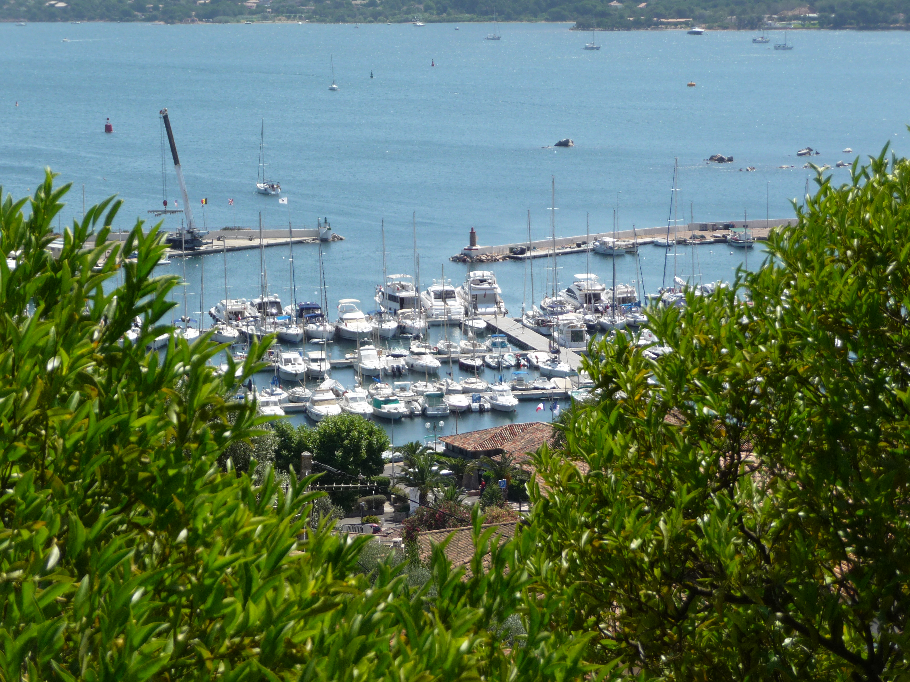 Vue_depuis_la_Montée_de_la_Porte_Génoise,_Porto-Vecchio,_Corse_-_panoramio